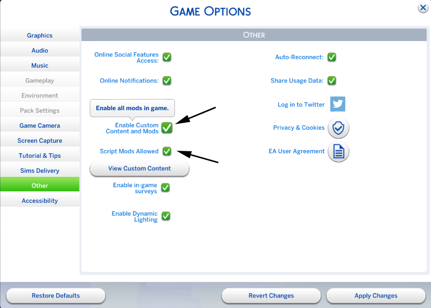 Скрін з опціями для модів та СС