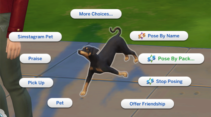 poseplayer andre'wstudio