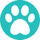 Cat and Dogs