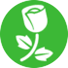 Romantic Garden Stuff